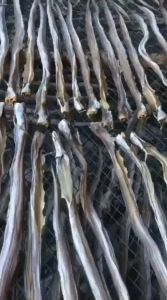 Khô Cá Lạc Cây Nguyên Con Chiên Nướng Chấm Mắm Me Ngon Hết Sẩy - Vựa Khô Yến Vy