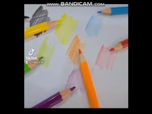 Zero 36 Color Pencil Wood Pensil Warna Coloring Pencil #3036 #ES-19 #Zero #36Color #ColorPencil #PensilWarna