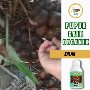 Pupuk Organik Cair Salak 100 Ml Penyubur Tanaman Dan Pelebat Buah Unggul By Jagotani Yogyakarta