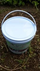 [ Thùng 2kg] Chế Phẩm TRỪ TUYẾN TRÙNG RỄ Ngăn Vàng Lá U Sưng Rễ - Nấm Săn Tuyến Trùng NEMA