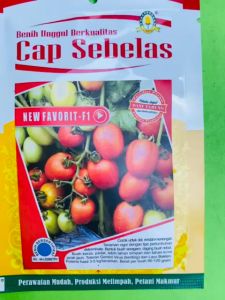 Benih Tomat New Favorit F1isi 5gr dari Cap Sebelas