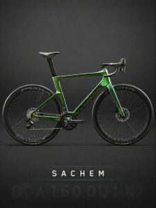 Carbon Fiber Lightweight Gear Shift Road Bike
