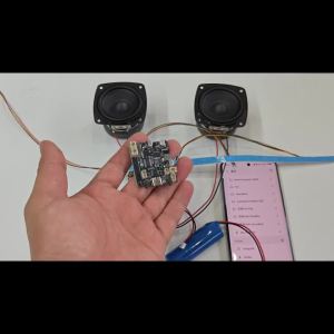 diymore | 2*5W Bluetooth 6.0 Stereo Amplifier Module 3.7V Battery Powered TYPE C Integrated Boost Circuit Mini Speaker Modification Board