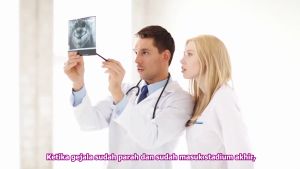 Herbal Wasir & Ambeien Prefilax Bharata Kemasan 50 Kapsul 100% Asli Bergaransi