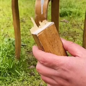 XIANGRUIBANG | Wood Repair Multipurpose Strong Adhesive Quick Drying
