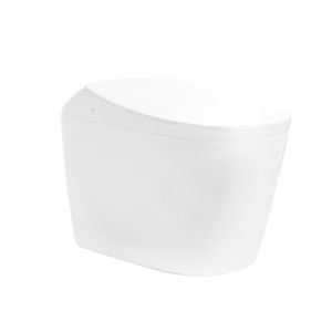 Panasonic | Automatic Hand Sense No Water Pressure Home Intelligent Toilet Instant Heating Constant Temperature Washing
