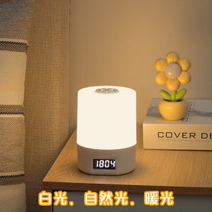Dimmable LED Night Lamp with Clock Time Display 3Colour Touch Lights USB Dim Light Small Bedside Lamps Rechargeable