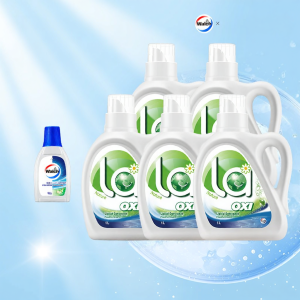 Walch | Bacterial and Mite Removal Fragrant Laundry Detergent