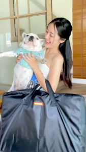 VSSUU แผ่นรองสัตว์เลี้ยงในรถยนต์ เบาะสัตว์เลี้ยงในรถ ผ้าคลุมหลังเบาะสำหรับสัตว์เลี้ยง