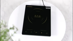 GoldStar Electric Stove 2200W/3500W Portable Single Burner Induction Cooker & Infrared Cooktop Touch/Button Control Fast Heating 220V