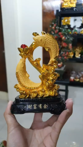 ปลาหลีฮู้ เลข 8 ชูก้อนทอง ถูกเลว ถูกเจาะ งานเรียกโชลาภ พร้อมแก้ว, สูง 6-13 นิ้ว