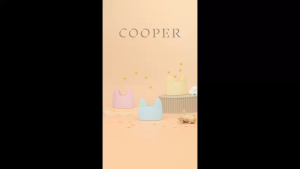 CYD TERRA | Baby Kids Snack Container Bag | COOPER Snack Container Bag | Silicone Food Bag with Strap Travel Portable | Food Storage | Feeding Essentials