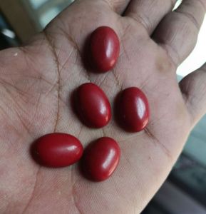 Batu Akik Red Marjan Tua 18x13 mm