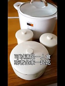 Midea DZ16E102 1.6L Electric Stew Pot Soup Porridge Cooker Pot Automatic Operation Stew Cooker Pot Multifunctional Hot Electric Cooking Pot