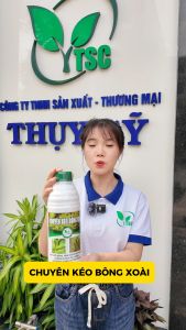 Phân Bón Chuyên Kéo Bông Xoài Thụy Sỹ Kéo Bông Mạnh Dưỡng Bông Không Chai Đầu Bông Mập Chồi Bông - Chai 1 lít