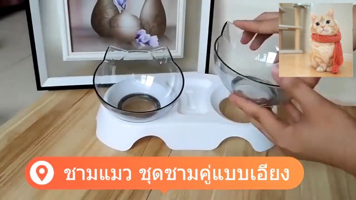ชามอาหารแมวคู่แบบเอียง พลาสติกซิลิโคน