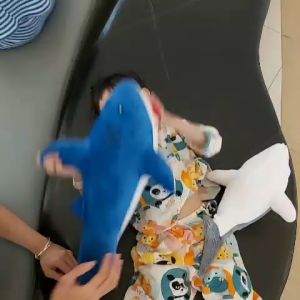 CÁ MẬP NHỒI BÔNG 60CMCHO BÉ YÊU