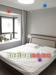 除甲醛果冻净醛魔盒去异味新房家用变色凝胶强力清新喷剂神器 | Formaldehyde Removal Gel Box Odor Elimination Household Freshener Spray