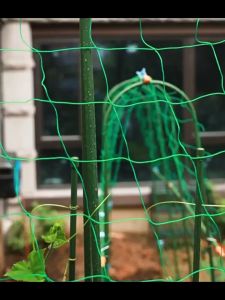 Melon Net Trellis Climbing Plants Support Garden Net Mesh Netting Planting Tool Untuk Tanaman Jaring Sayur Pertanian 爬藤网