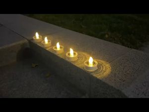 Solar Tea Lights Waterproof LED Tea Light Candles for Lantern Garden Camping and Home Decor