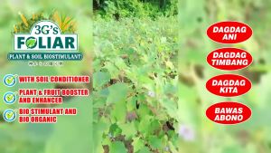 3Gs Super Foliar (Japan Technology) - Soil & Plant Adjuvant Bio-Stimulant Liquid Bio-Fertilizer