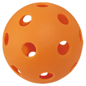 WUYIQU | Silent Professional Training Pickleball Balls