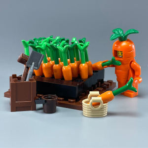 MOC Small Particle Blocks & Carrot Field Planting: A DIY Mini Vegetable Garden Educational Toy