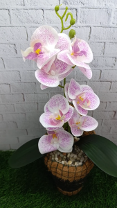 Bunga Anggrek Hias Gantung Pot Serabut Kelapa | Handmade DIY Estetik | 15x40cm | Batu Padat | Stok Terbatas