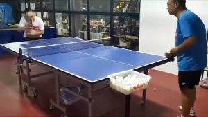 SPEEDS Bet Tenis Meja Bat Pingpong Table Tennis Racket Handle Empuk Berkualitas 032-20 harga 1pcs