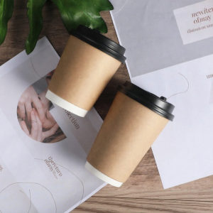 Double-layer Thickened Disposable Paper Cup