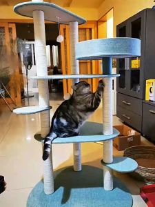 เชือกลับเล็บแมว อุปกรณ์สัตว์เลี้ยง ของเล่นสัตว์เลี้ยง เชื้อกแมว 1/5/10 เมตร