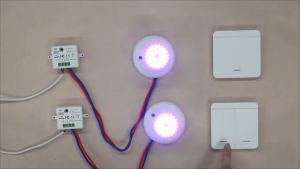 (local delivery) Wireless Smart Switch Light 433Mhz RF 86 Wall Panel Switch with Remote Control Mini Relay Receiver 220V Home Led Light Lamp Fan