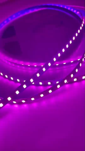 2835 12V เปลือย 120 ดวง ตัวS 20เมตร สีชมพู