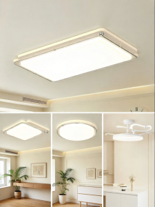 NVC | Eye Protection Ceiling Light