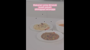 TUDUNG PENUTUP MAKANAN/TUTUP SAJI PLASTIK