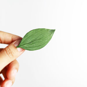 Phụ Kiện Tóc Bên Hông Thiết Kế Tự Nhiên Thủ Công Phong Cách Hanfu Kẹp Tóc Lá Xanh Phụ Kiện Tóc Thời Trang Cho Phụ Nữ