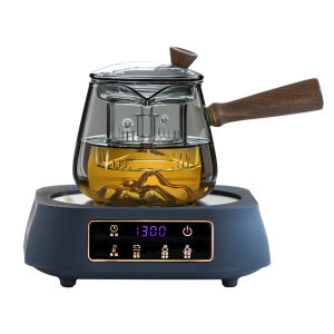 SANXUN | Tea Brewing Pot for Home Use