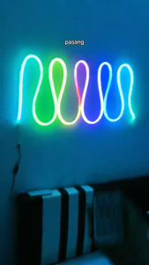【SG STOCK】5M/3M RGBIC Light Strip Neon Light Bluetooth LED Neon Music Sync Strip IP67 Waterproof