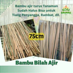 10pcs Pring Bambu Belah Ajir Turus Penyanggah Tanaman Kebun Rambat Tanam Sudah Rapi dan Halus Ukuran Panjang 75cm