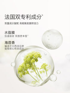 Christmas Gift Carstlan Lip Essence Lipstick Gloss Moisturizing Nude Lip Color Lip Glaze Gift Box Water Light Mirror Finish