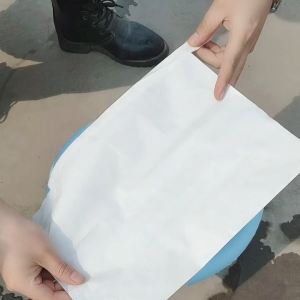 100Pcs Fruit Bag Transparan / Pembungkus Buah Kantong Jaring / Fruit Cover