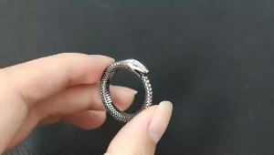 Fashion Vintage Simple Viking Snake Ring for Men Women Punk 316L Stainless Steel Ouroboros Rings Bike Amulet Jewelry Wholesale