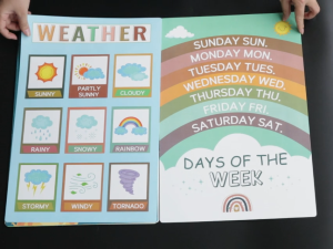 16 PCS Premiunm Lamination Educational Posters For School And Home Wallpaper Waterproof Plastic Office Stationery free Pens