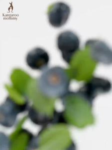 Kangaroo Mommy Pregnancy Toothpaste Reduce Morning Sickness (100g/Bottle) 袋鼠妈咪孕期牙膏缓解孕吐（100g/瓶)