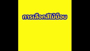 [8327] อะไหล่ผ้าม็อบถูพื้น 12 นิ้ว 320 กรัม  ผ้าถูพื้น สีขาว (แพ็คคู่) SUPERCAT