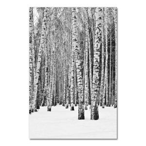 BILIBILI | Bắc Âu Poster Tranh Canvas Cây Cao Rừng Tự Nhiên Nghệ Thuật Treo Tường In Unframed Phong Cách Hiện Đại Trang Trí Nhà Cho Phòng Khách