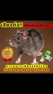 เสียงต่อหนูพุก เสียงต่อหนูนา  เสียงล่อหนูพุก ต่อเข้าเร็ว USBแฟลชไดร์ฟเสียงต่อหนูพุกเสียงดี ชัด100% ไม่มีโฆษณาแทรก (MP3 เสียงต่อสัตว์)