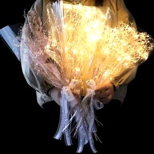 สายไฟ LED หิ่งห้อย 3 เมตร 30 ดวง 3 โหมด หลากสี พร้อมปลั๊ก 3 พิน สำหรับปาร์ตี้และคริสต์มาส