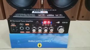 【2024HOT】800W Digital Bluetooth Stereo Amplifier Hifi Fm Radio Usb EU Plug With 2 Microphone Sockets