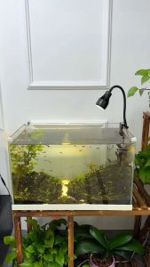 Lọc Treo Sunsun Xiaoli XBL-300/400/500/600 Cho Bể Cá Cảnh (hút mặt)